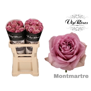 R Gr Montmartre+