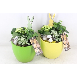 arr2 MB - Ker. vaas groen/yellow