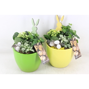 arr2 MB - Ker. vaas groen/yellow