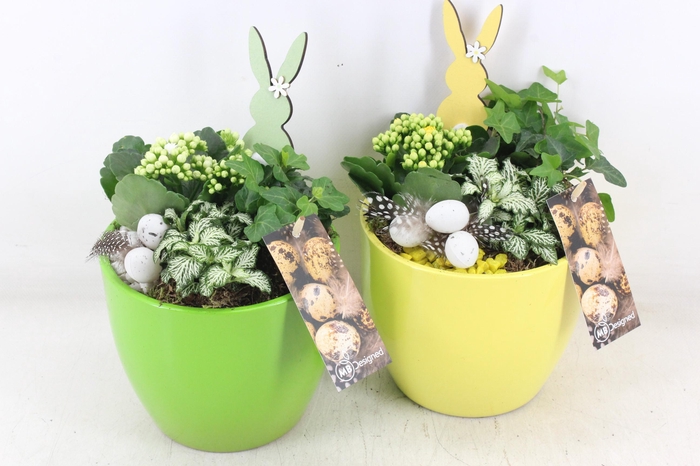 <h4>arr2 MB - Ker. vaas groen/yellow</h4>