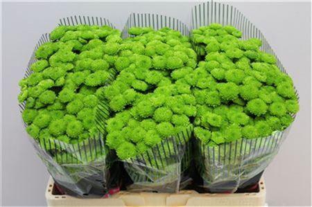 <h4>CHR S COUNTRY</h4>