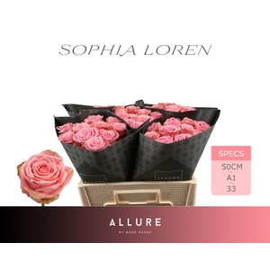 R GR SOPHIA LOREN ALLURE Allure Specials