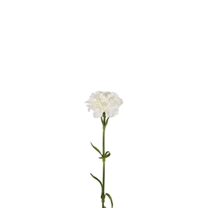 Artificial flowers Carnation 53cm