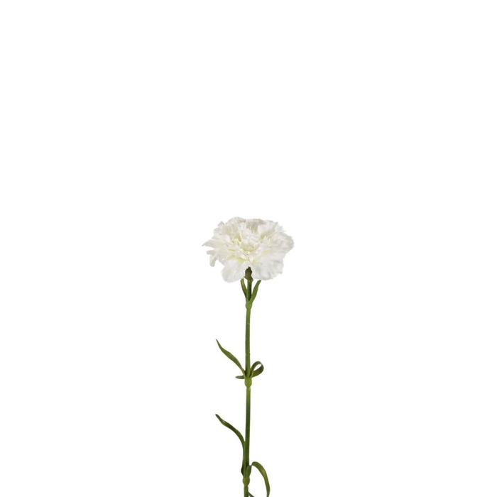 <h4>Kunstbloemen Carnation 53cm</h4>