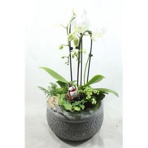 9803 KER GREY CASCADE