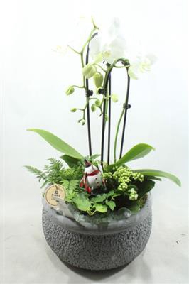 <h4>9803 KER GREY CASCADE</h4>