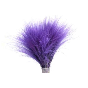 Bunch Stypha Pena Slv 50g L40