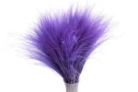 Bunch Stypha Pena Slv 50g L40