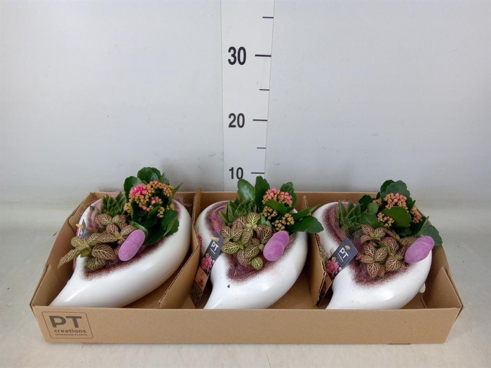 <h4>Arr.    Planten  L%</h4>