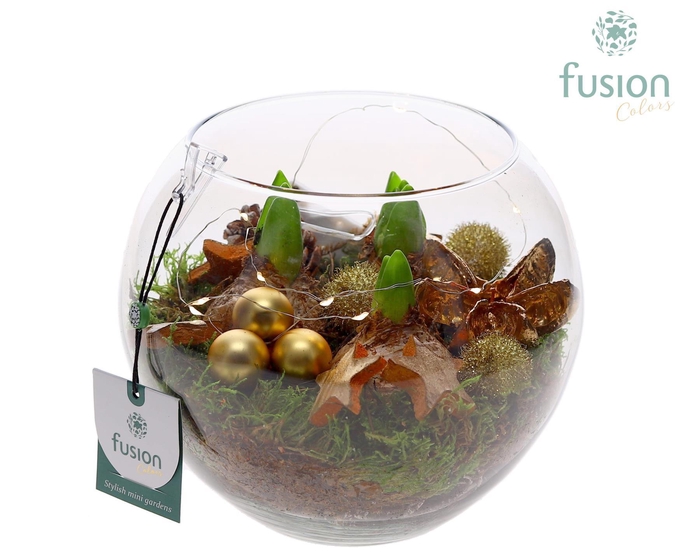 <h4>Glazen Vissenkom Kerst met Hyacinthus</h4>