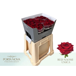 R GR RED NAOMI! UNICA 60-34