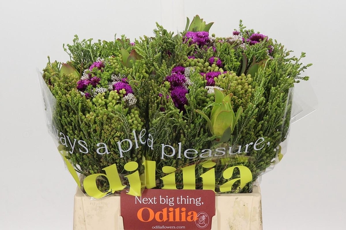 <h4>BQ Wild Flower</h4>