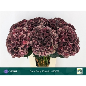 Dark Ruby Classic - 65CM