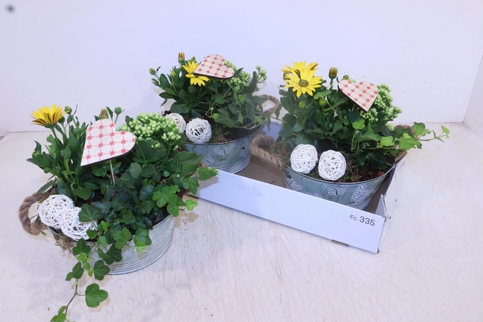 <h4>ARR TUINPLANTEN</h4>