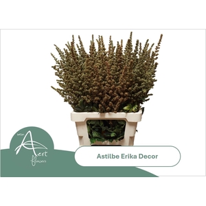 ASTIL AR ERIKA DECOR