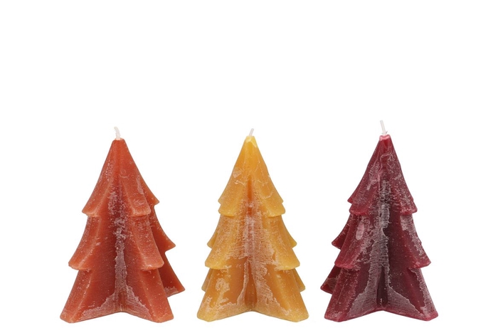 <h4>Candle Frosty Pine Tree Autumn Spices Mix 9x12cm Ass</h4>