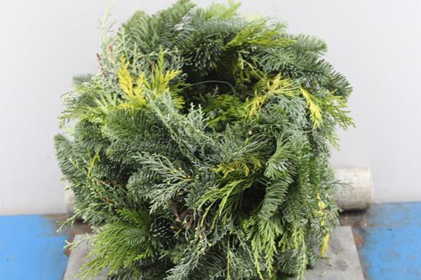 <h4>Adventskrans Mix 1/2 30 Cm</h4>