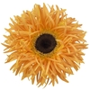 Gerbera Spider Bambu Water