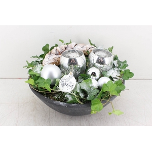 arr. PL Hedera - Ebbischaal XL - zi