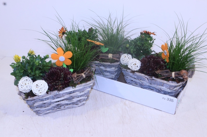 <h4>ARR TUINPLANTEN</h4>