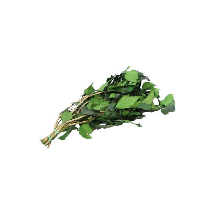 <h4>Bunch Hedera Pres. 150g L65</h4>