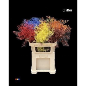 Limonium Mix + Glitter Bio