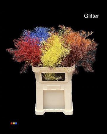 <h4>Limonium Mix + Glitter Bio</h4>