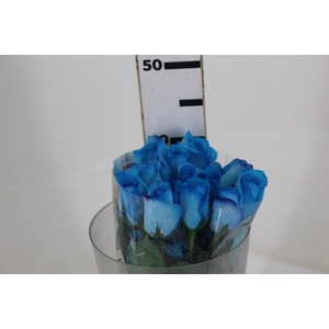 ROSA NATURAL TINTURADA AZUL 040 CM