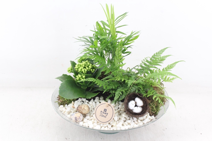 <h4>arr2 PL - Glas schaal 30cm - wit</h4>