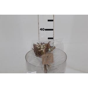 PLANTA SECA MINI BUQUE VARIADO CASTANHO 25 CM