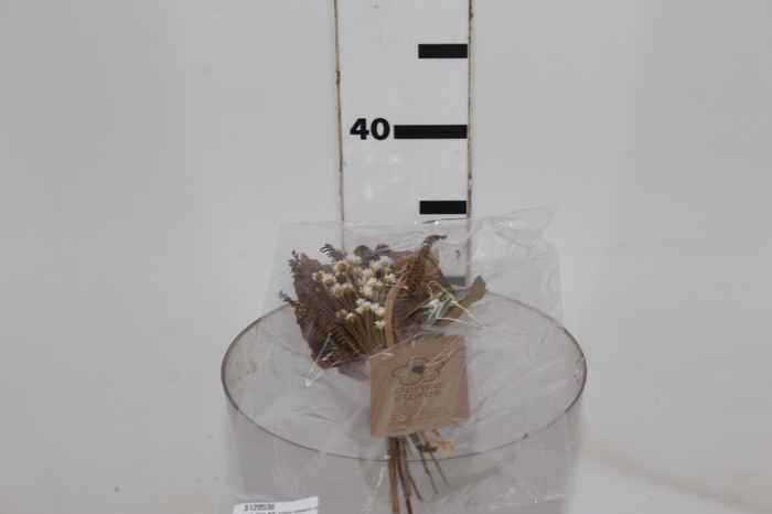 <h4>PLANTA SECA MINI BUQUE VARIADO CASTANHO 25 CM</h4>