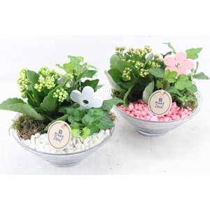 arr2 PL - Glas ribbel schaal x3 - roze/wit