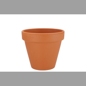 Terracotta Basic Pot D11xh10cm