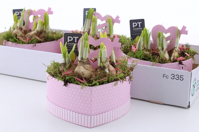 <h4>ARR N TETE A TETE</h4>