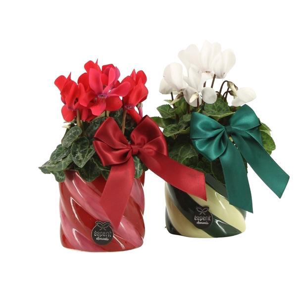 <h4>61774: X-mas arrangement</h4>