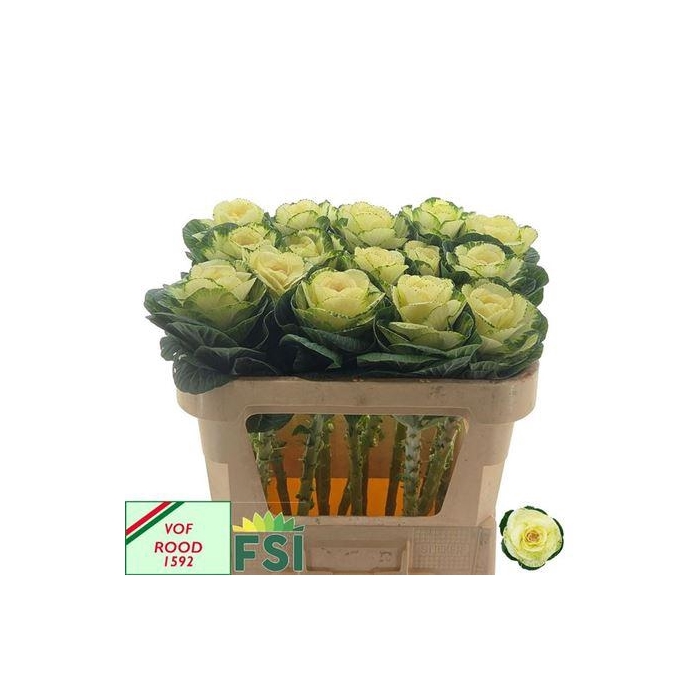 <h4>Brass White Crane</h4>