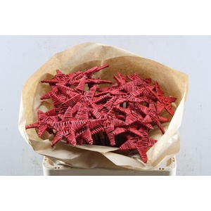 Droog Lata Star Oil Red X25