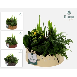 Zinken schaal Huisjes Medium met Voorjaar arrangement