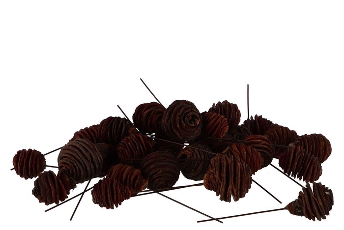 Pick Nature Plug Murri Brown P/100