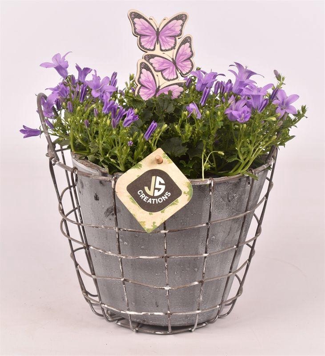 <h4>Gaas mandje metaal 16cm</h4>