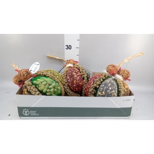 Decoratie  ..Vogelzaadfiguur  H%