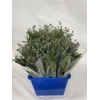 AROMATIC HERBS MIX IN BUNCH 500GR
