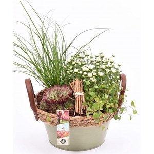 Zink schaal groen met touw 21cm