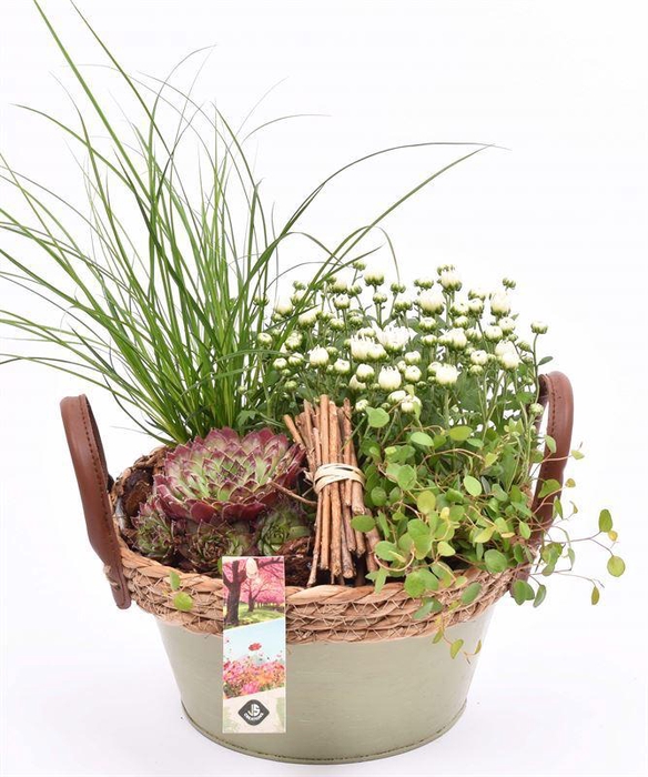 <h4>Zink schaal groen met touw 21cm</h4>