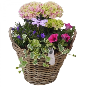 PTPP7028 Arrangement Patio in rieten mand