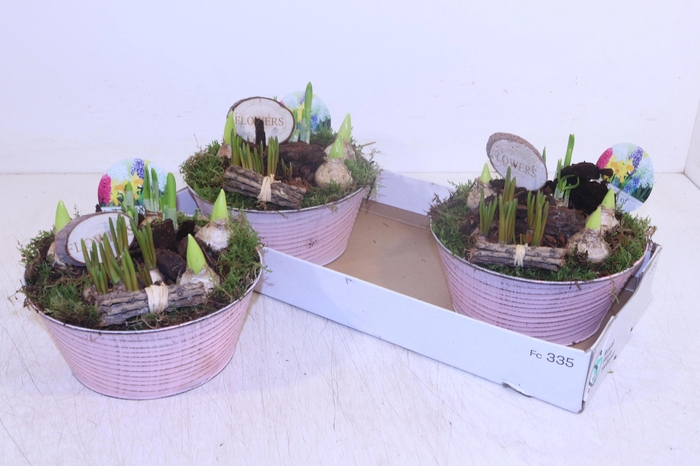 <h4>ARR BOL KNOLGEWAS</h4>