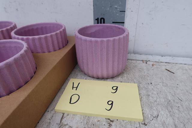 <h4>HUIS EN TUINDECO H%</h4>