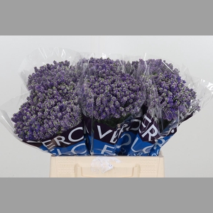 Veron Smart Fountain Spray