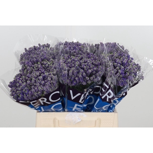 Veron Smart Fountain Spray