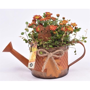 Zink gieter met herfst blad 12cm